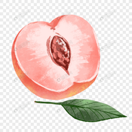 东京很热APPAPP应用